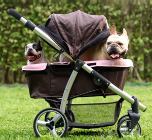 Carrozzina per cani