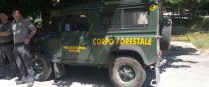 forestali