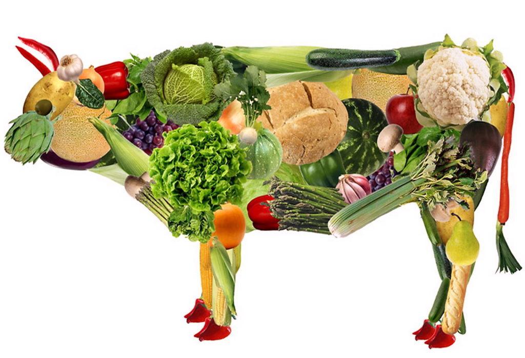 No alla carne: per moda, per amore, per la salute