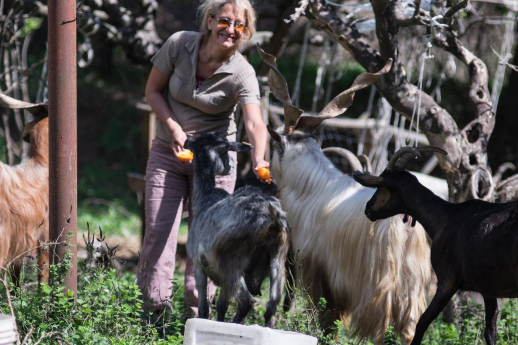 Rossella, la filosofa che parla alle capre