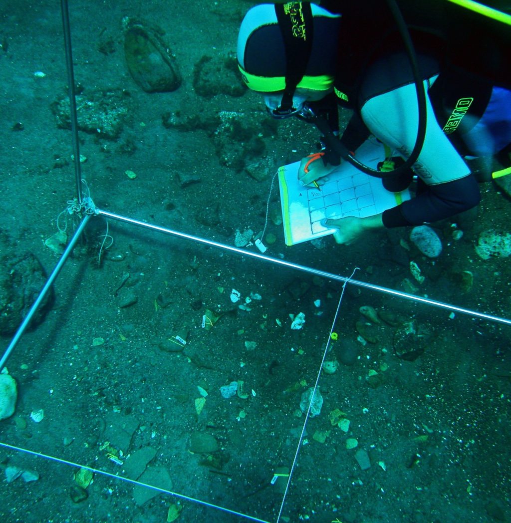 Un tesoro riemerso dopo 1500 anni: la storia del relitto di Scauri