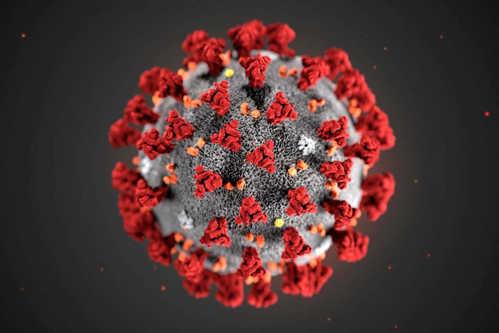 Il Covid, i vaccini e l’astratta plausibilità